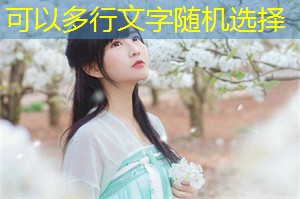 上海城市治理中的公众参与机制